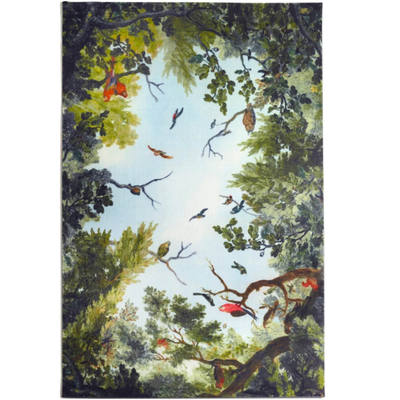 cielo-opinion-ciatti-389602-rel3a30854d.jpg
